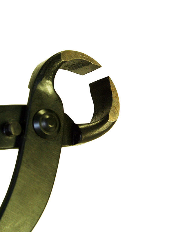 Pince à racines de bonsaï 210 mm