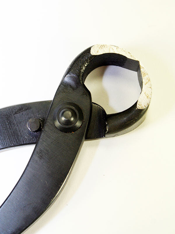 Pince à racines de bonsaï 210 mm