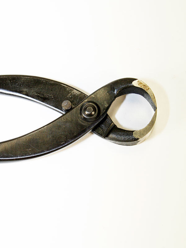 Pince à racines de bonsaï 180 mm