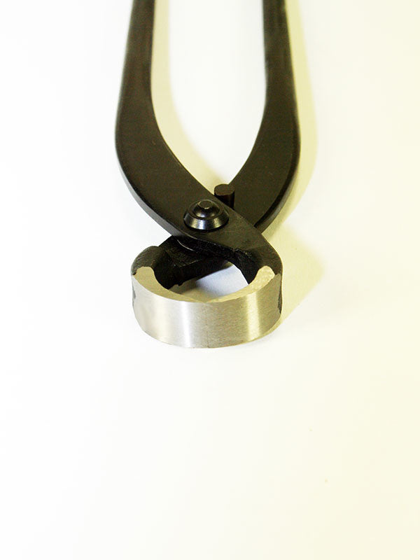 Pince à racines de bonsaï 180 mm