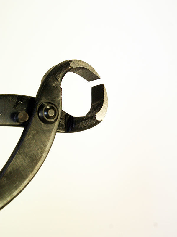 Pince à racines de bonsaï 180 mm