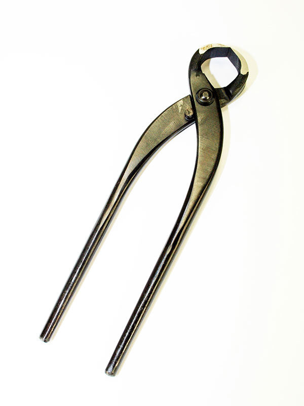 Pince à racines de bonsaï 180 mm