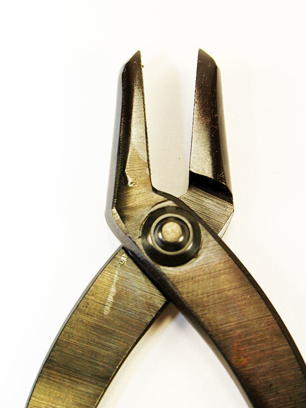 Bonsaï Jintang 230 mm