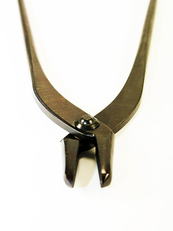 Bonsaï Jintang 230 mm