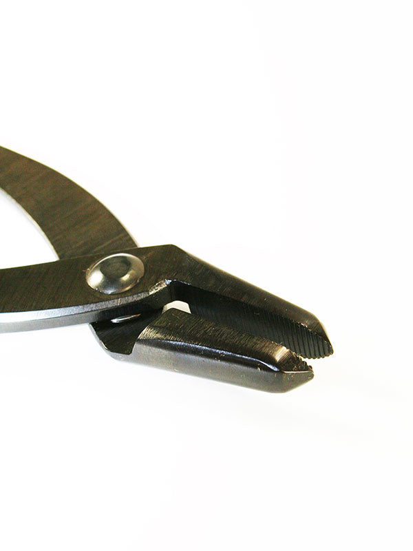 Bonsaï Jintang 230 mm