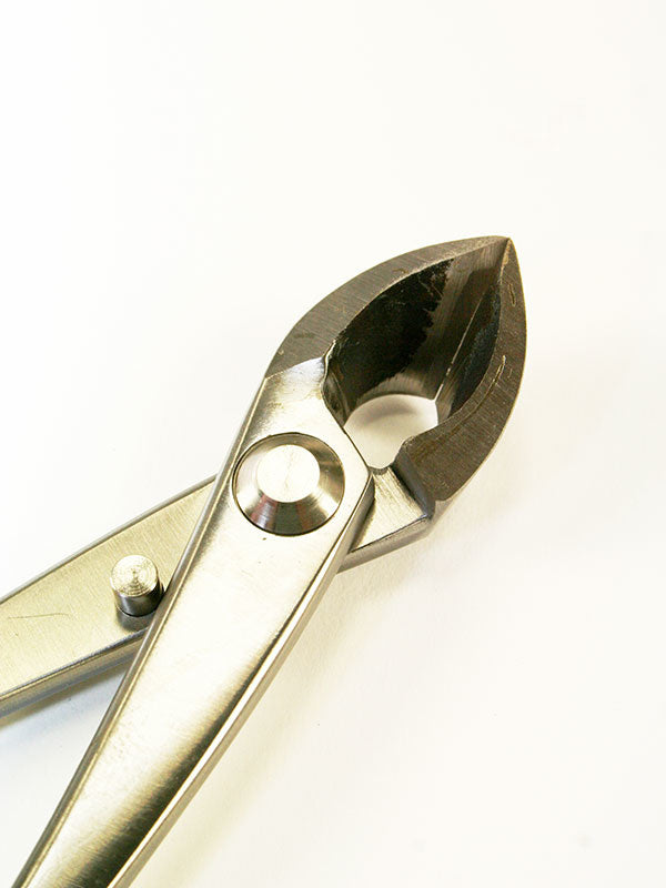 Pince concave pour bonsaï en acier inoxydable 180 mm