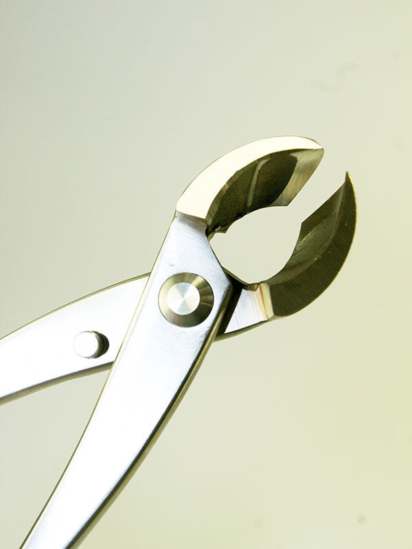 Pince concave pour bonsaï - Sphérique en acier inoxydable 205 mm