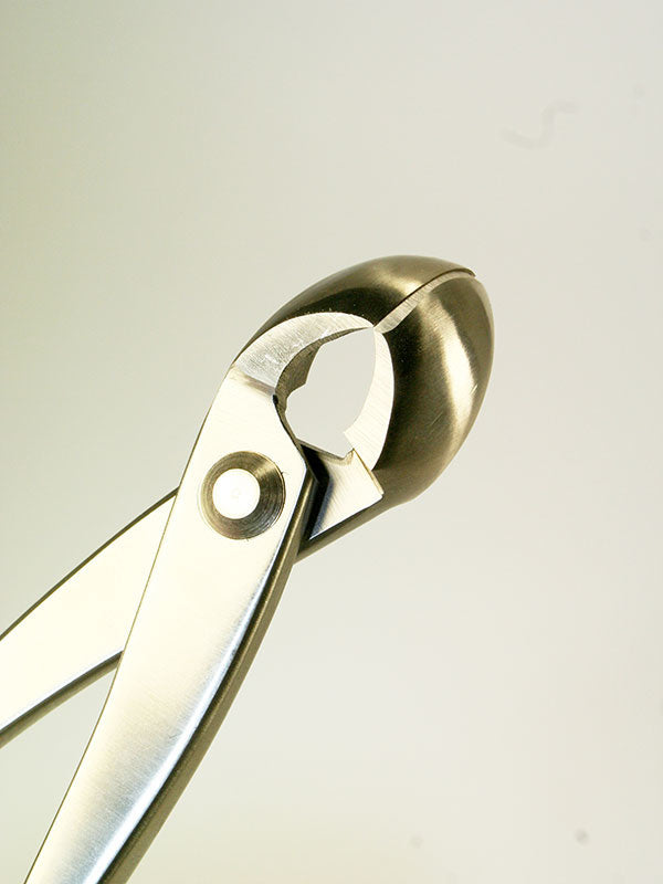 Pince concave pour bonsaï - Sphérique en acier inoxydable 205 mm