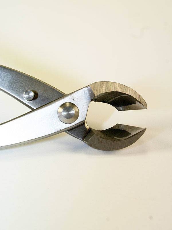 Pince concave pour bonsaï - Sphérique en acier inoxydable 205 mm