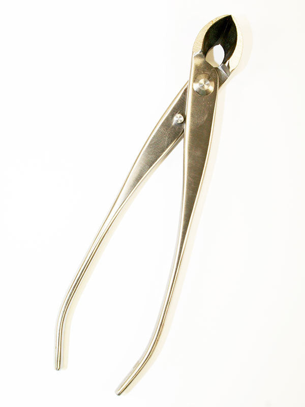 Pince concave pour bonsaï - Sphérique en acier inoxydable 180 mm