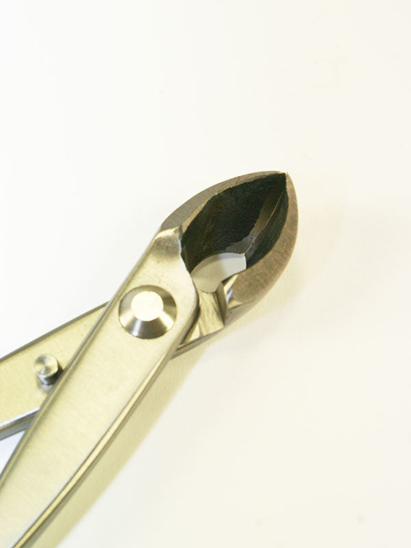 Pince concave pour bonsaï - Sphérique en acier inoxydable 180 mm