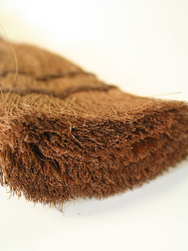 Brosse en noix de coco pour bonsaï 160 mm