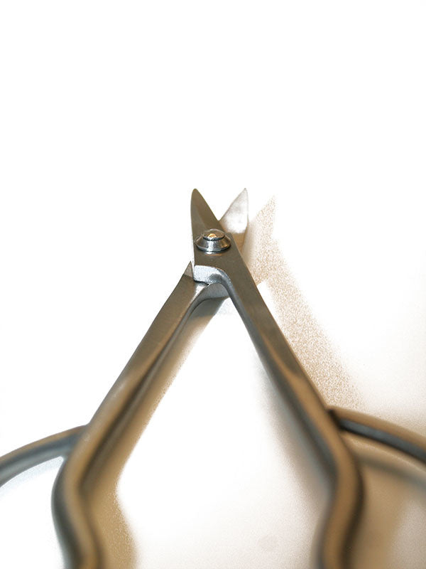 Sécateur à bonsaï Ryuga en acier inoxydable 179 mm