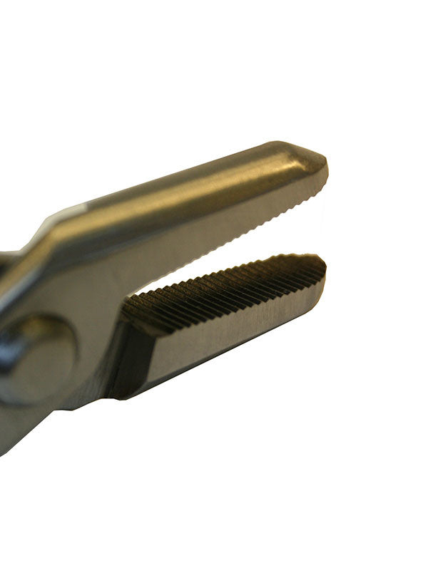 Bonsaï Ryuga jintang en acier inoxydable 208 mm