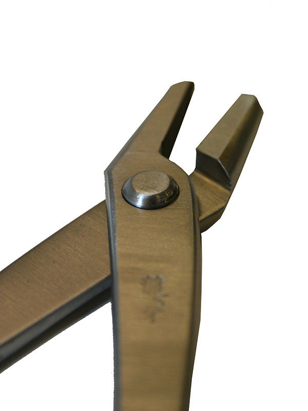 Bonsaï Ryuga jintang en acier inoxydable 208 mm