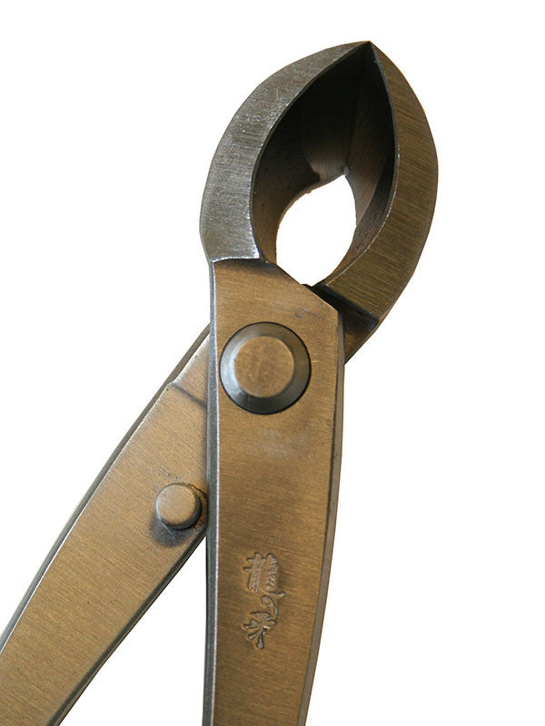 Pince concave pour bonsaï Ryuga en acier inoxydable 203 mm
