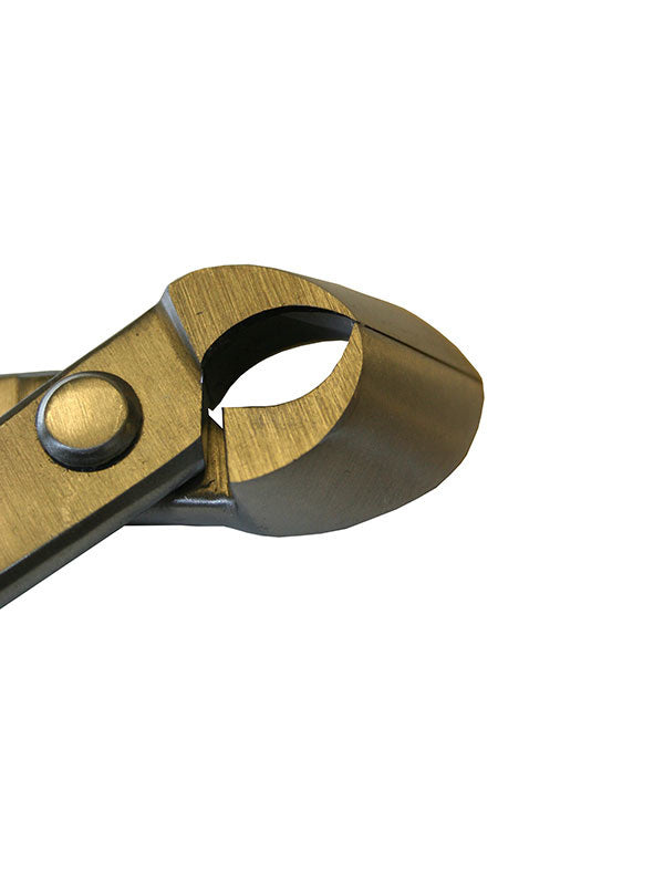Pince concave pour bonsaï Ryuga en acier inoxydable 203 mm