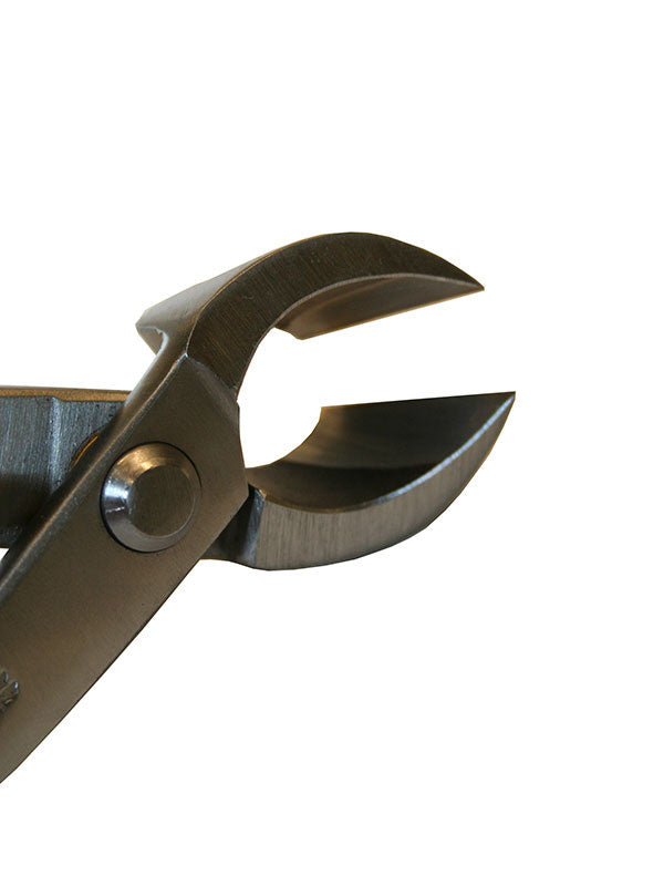 Pince concave pour bonsaï Ryuga en acier inoxydable 203 mm