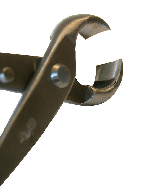 Pince à bouton pour bonsaï Ryuga en acier inoxydable 210 mm