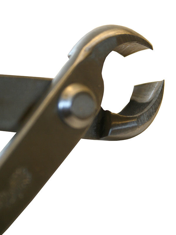Pince à bouton pour bonsaï Ryuga en acier inoxydable 179 mm