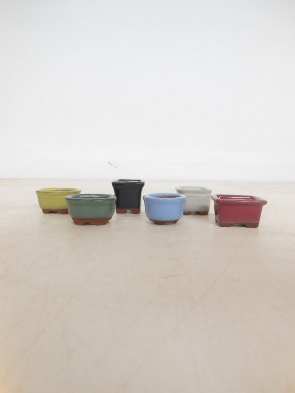Bonsai pot mame mini mix (5)