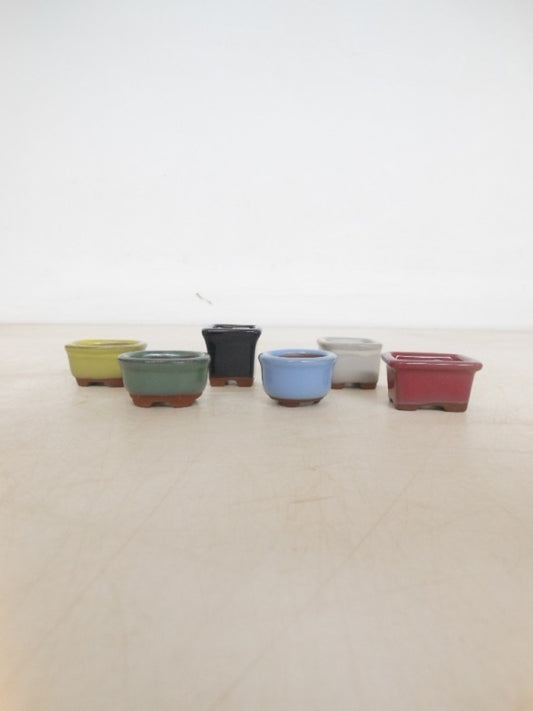 Bonsai pot mame mini mix (5)