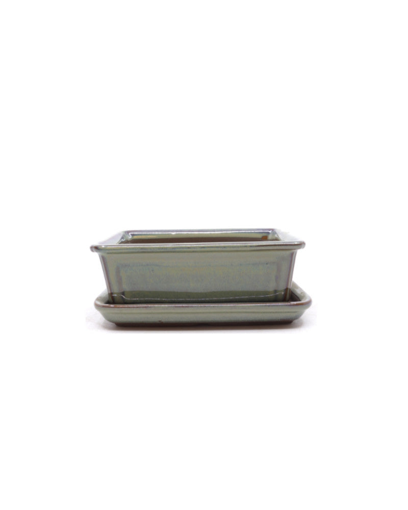 Pot à bonsaï rectangulaire vert beige 15 cm - lot