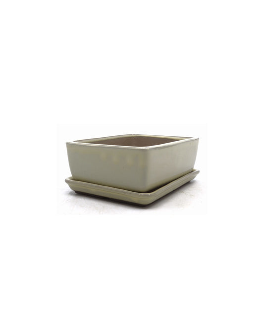 Bonsai pot creme rechthoekig 12cm - set