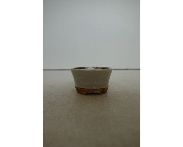 Mame bonsai pot 'Rene Lecocq' rond creme 5cm