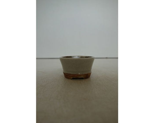 Mame bonsai pot 'Rene Lecocq' rond creme 5cm