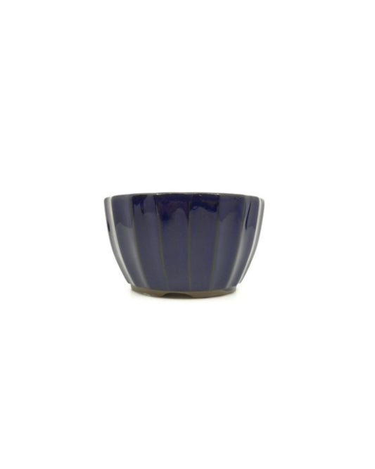 Bonsai pot donker blauw chrysanten 12cm