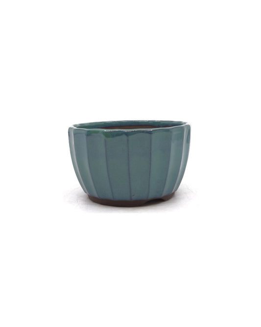 Bonsai pot groen chrysanten 12cm
