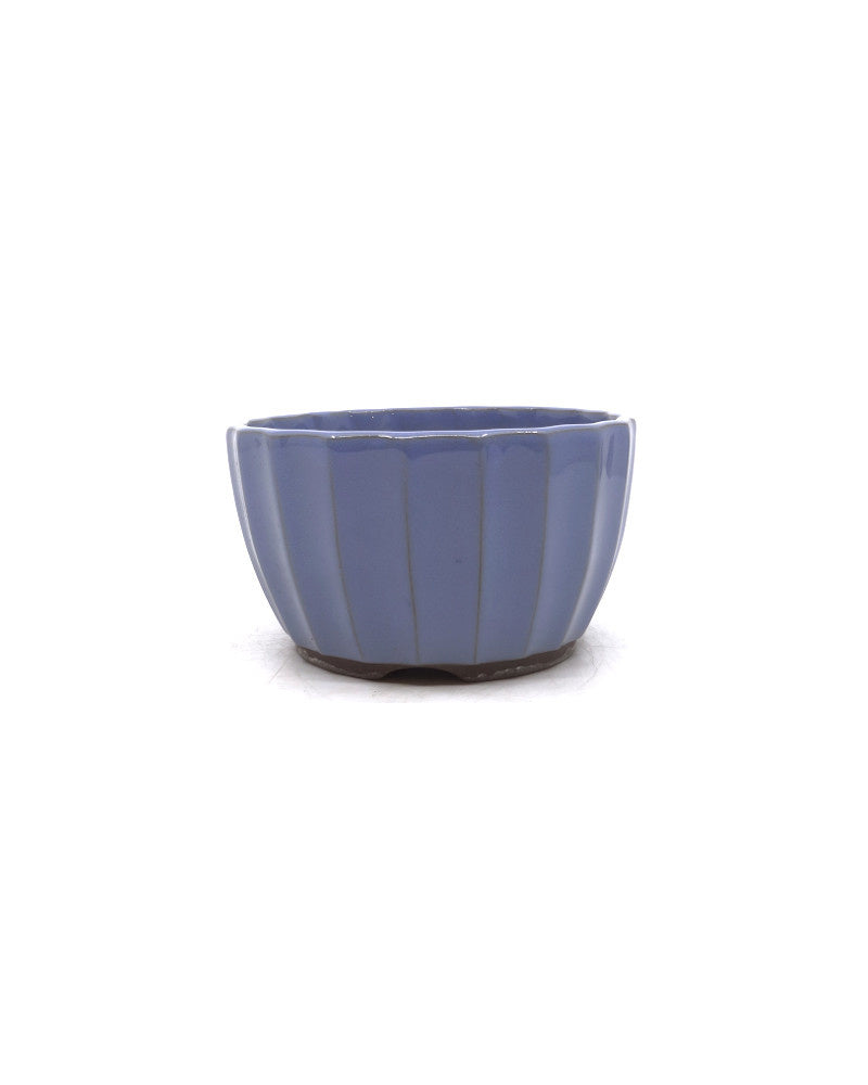 Pot à bonsaï chrysanthèmes bleu clair 12 cm