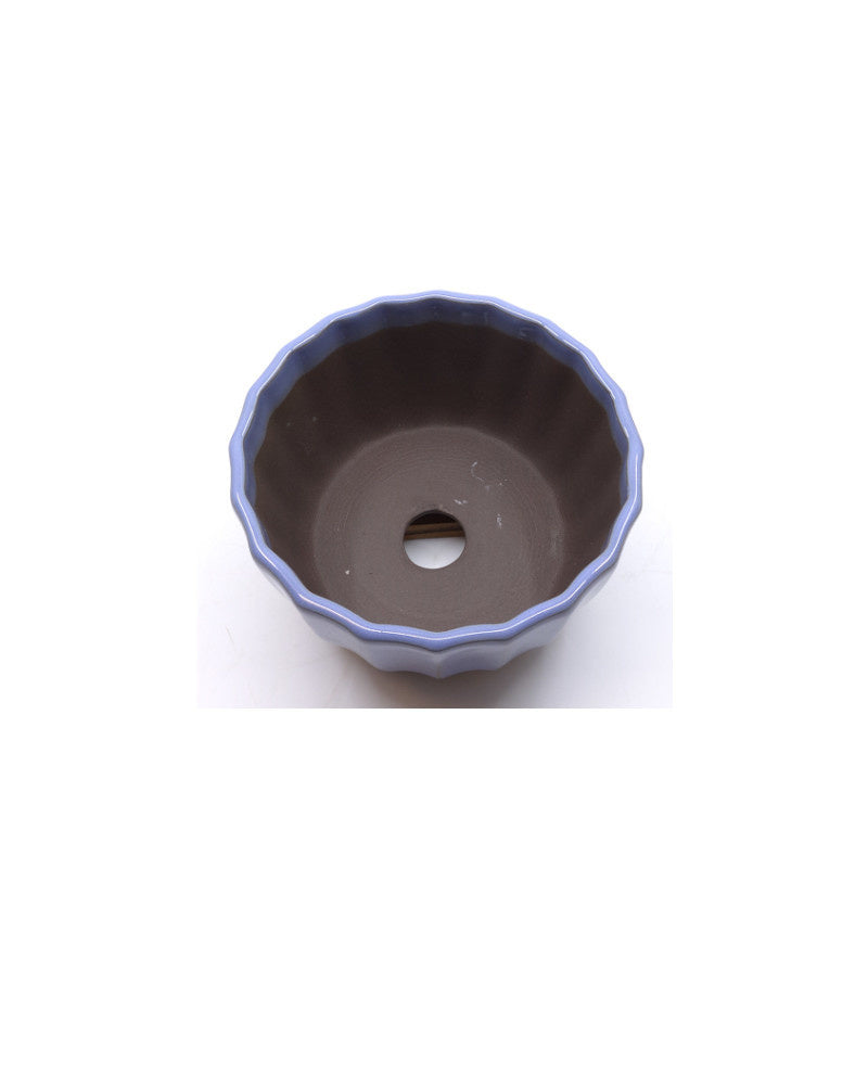 Pot à bonsaï chrysanthèmes bleu clair 12 cm