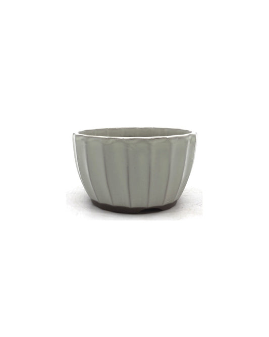 Pot à bonsaï chrysanthèmes blancs 12 cm