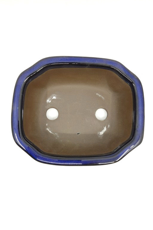 Pot à bonsaï mokko bleu 15 cm