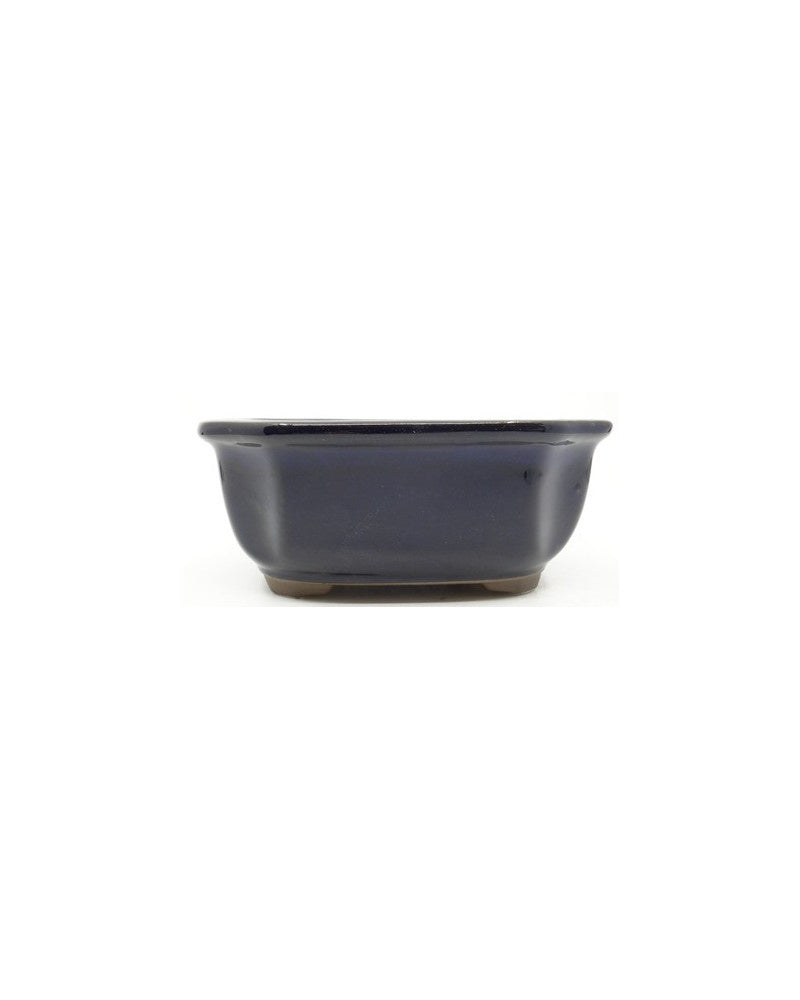 Pot à bonsaï mokko bleu 15 cm