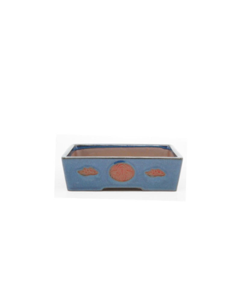 Pot à bonsaï bleu rectangulaire avec accent rouge, 15 cm