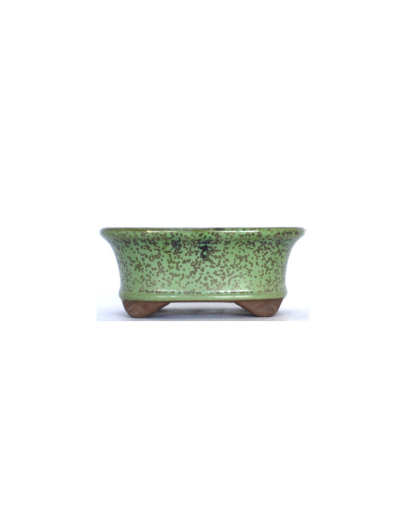 Pot à bonsaï ovale vert à pois, 16 cm