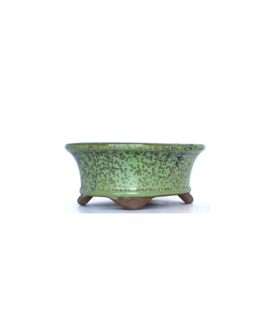 Bonsai pot groen met spikkels ovaal 16cm