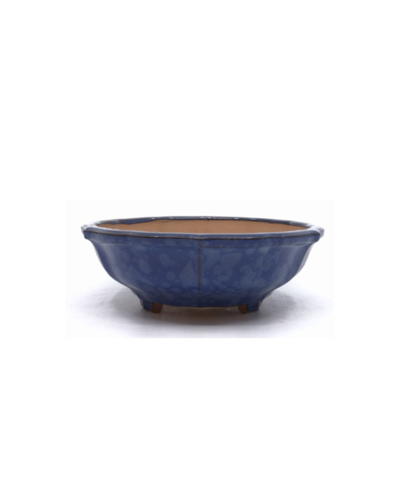 Pot à bonsaï lotus bleu 18 cm