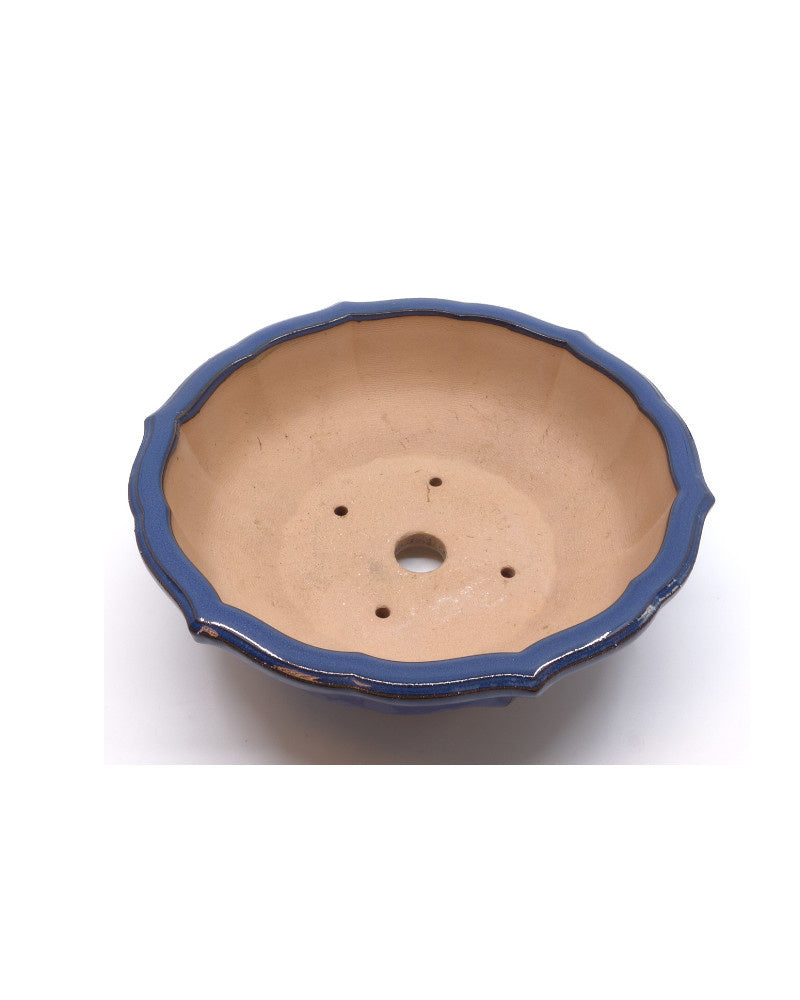 Pot à bonsaï lotus bleu 18 cm