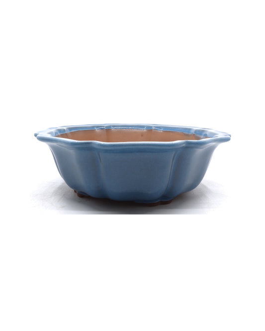 Bonsai pot licht blauw lotus 27cm