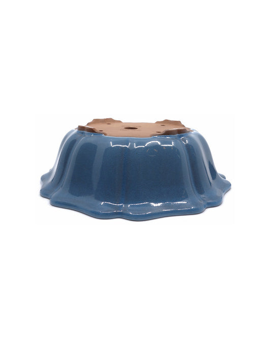 Bonsai pot licht blauw lotus 27cm