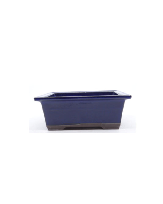 Bonsai pot blauwe rechthoekige 18cm