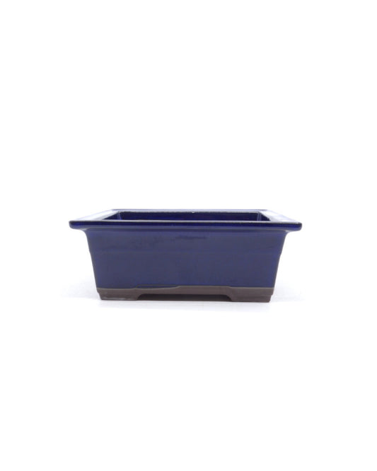 Bonsai pot blauwe rechthoekige 22cm