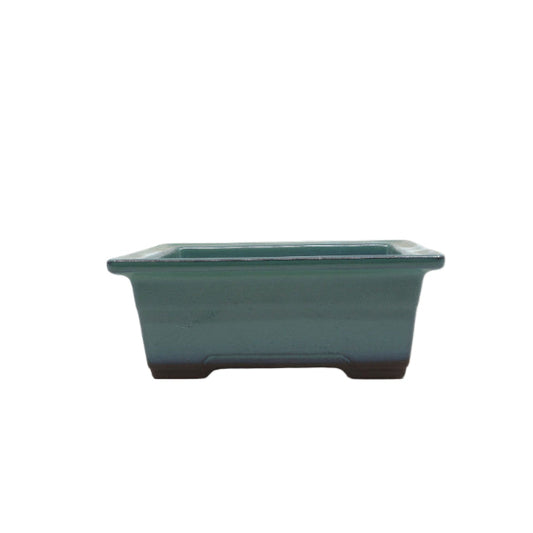 Pot à bonsaï vert rectangulaire 22 cm