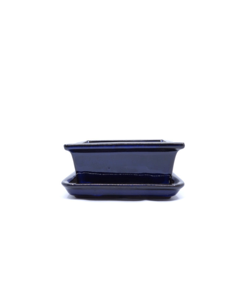 Bonsai pot blauw rechthoekig 13cm - set