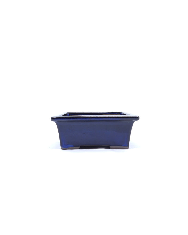 Bonsai pot blauw rechthoekig 13cm - set