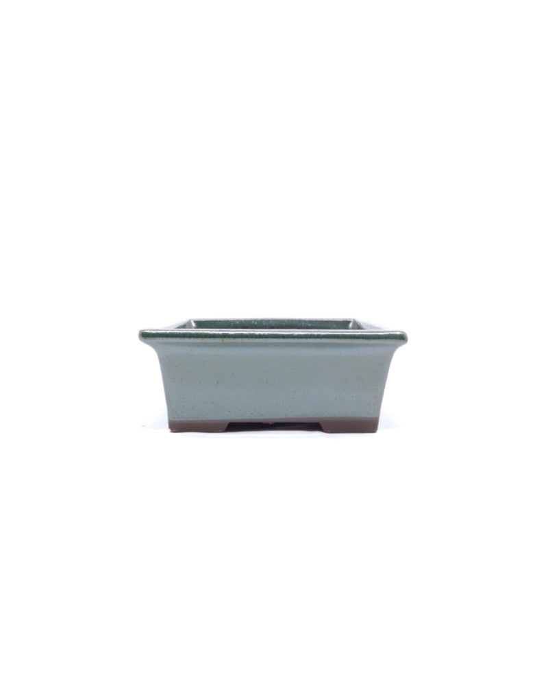 Bonsai pot groen rechthoekig 13cm - set
